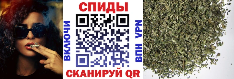 Бутират буратино Куртамыш