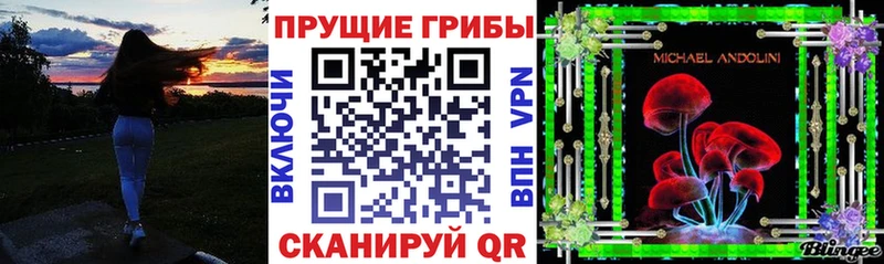 даркнет сайт  Куртамыш  Псилоцибиновые грибы MAGIC MUSHROOMS 